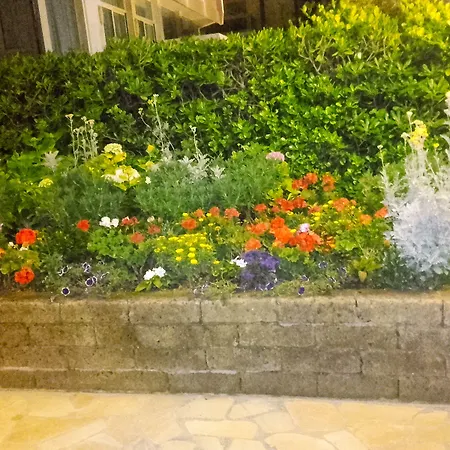 فندق Caesar Fronte Mare In Centro Di